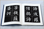 硬筆書法基礎(chǔ)描紅