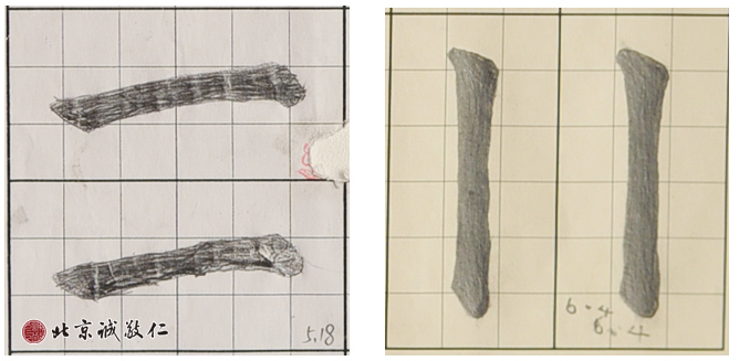 描紅一年前后對(duì)比