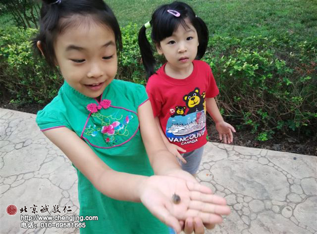 呵呵，可愛的小蝸牛也想加入我們的隊伍里。