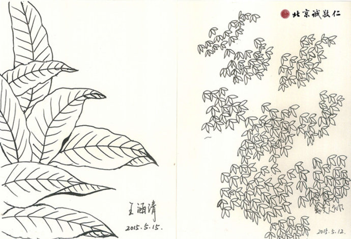 王女士硬筆國畫作品 