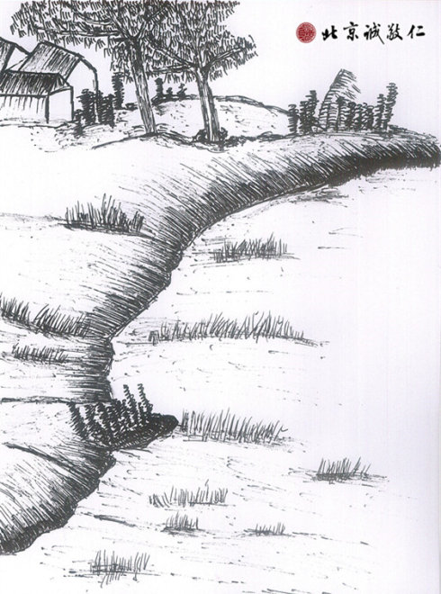 高女士硬筆國畫作品 