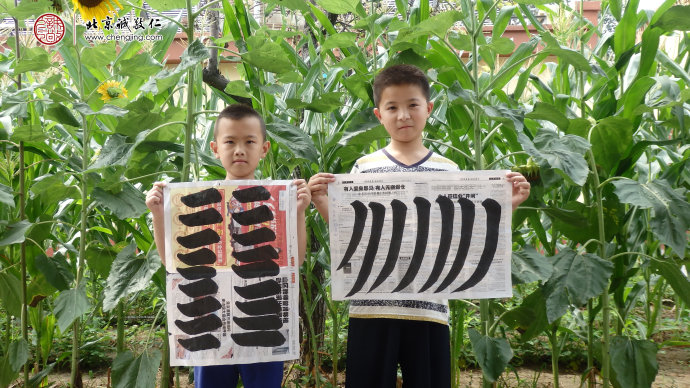 書法一班學(xué)員永字八法習(xí)作展示