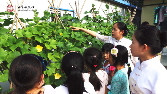 
走進大自然，了解給予我們生命能量的蔬菜瓜果，從自然萬物中學習生活智慧。