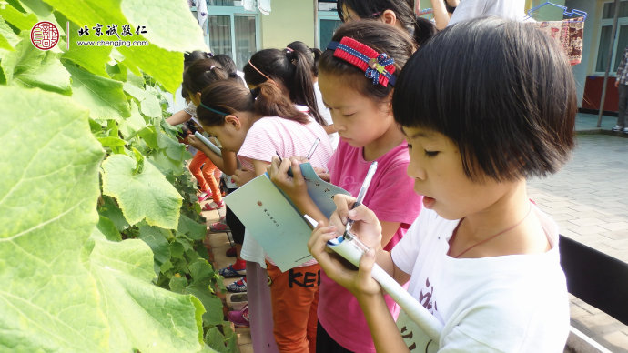 專注的神情是孩子們好學的精神；記錄下今天學習的點點滴滴。
