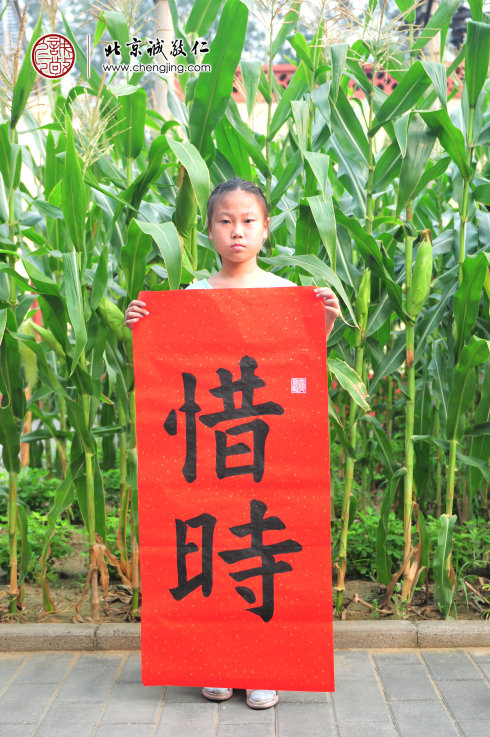 
樸同學，8歲，習書2年，習作「惜時」