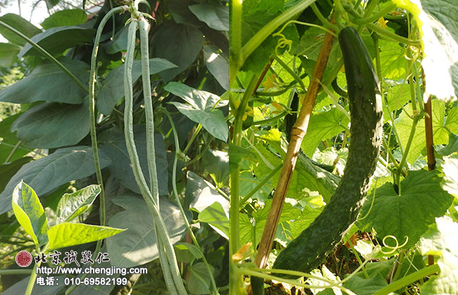 頒發(fā)十佳學(xué)員獎