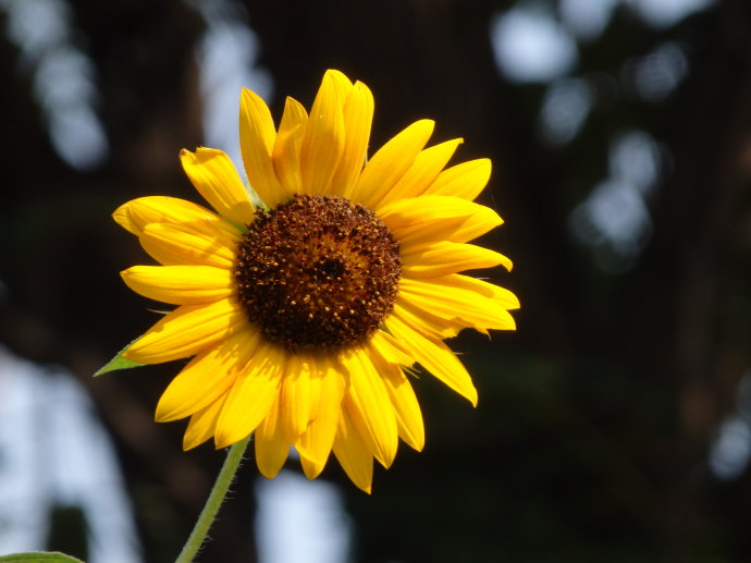 北京誠敬仁2014年暑期德藝書法篆刻培訓班