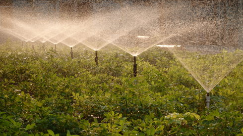 美麗的小院一景
