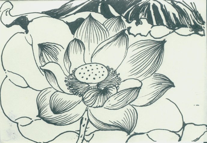 配圖：學(xué)員硬筆國畫習(xí)作展示