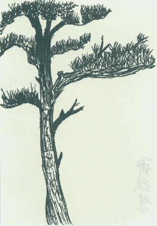 配圖：學(xué)員硬筆國畫習(xí)作展示