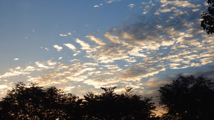 
一縷晨輝，一曲歡歌。