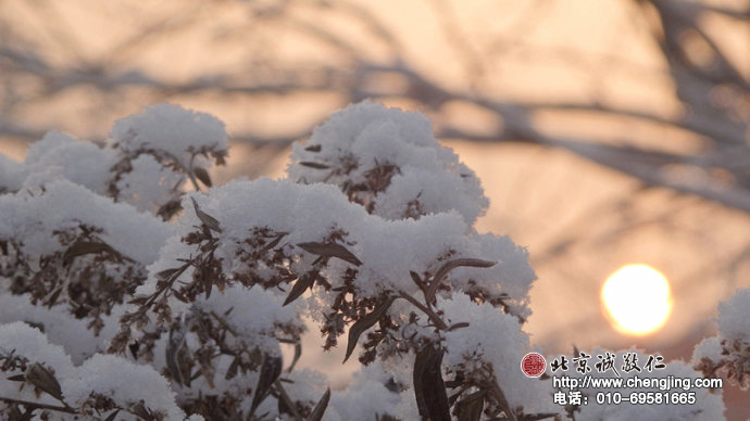 仿佛遠方母親的問候，暖暖地撒在潔凈的時刻；