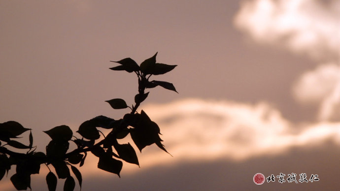 一路風雨無所懼，只待霞彩知音時。