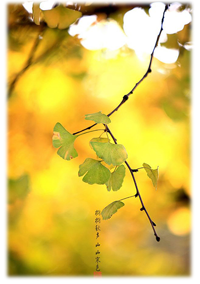 楊老師書法教室