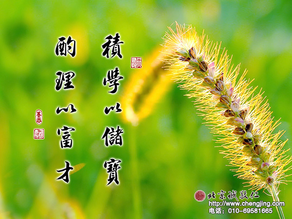 大方廣桌面壁紙：積學(xué)以儲(chǔ)寶，酌理以富才