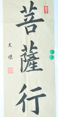 傅先生書法學(xué)習(xí)相冊:菩薩行